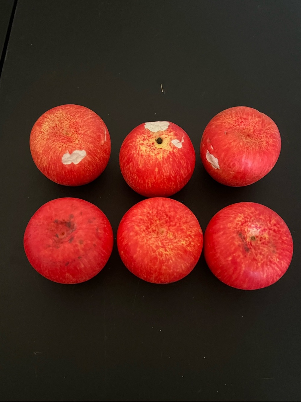 Decorative Red Apple Accent Set - Home Accents